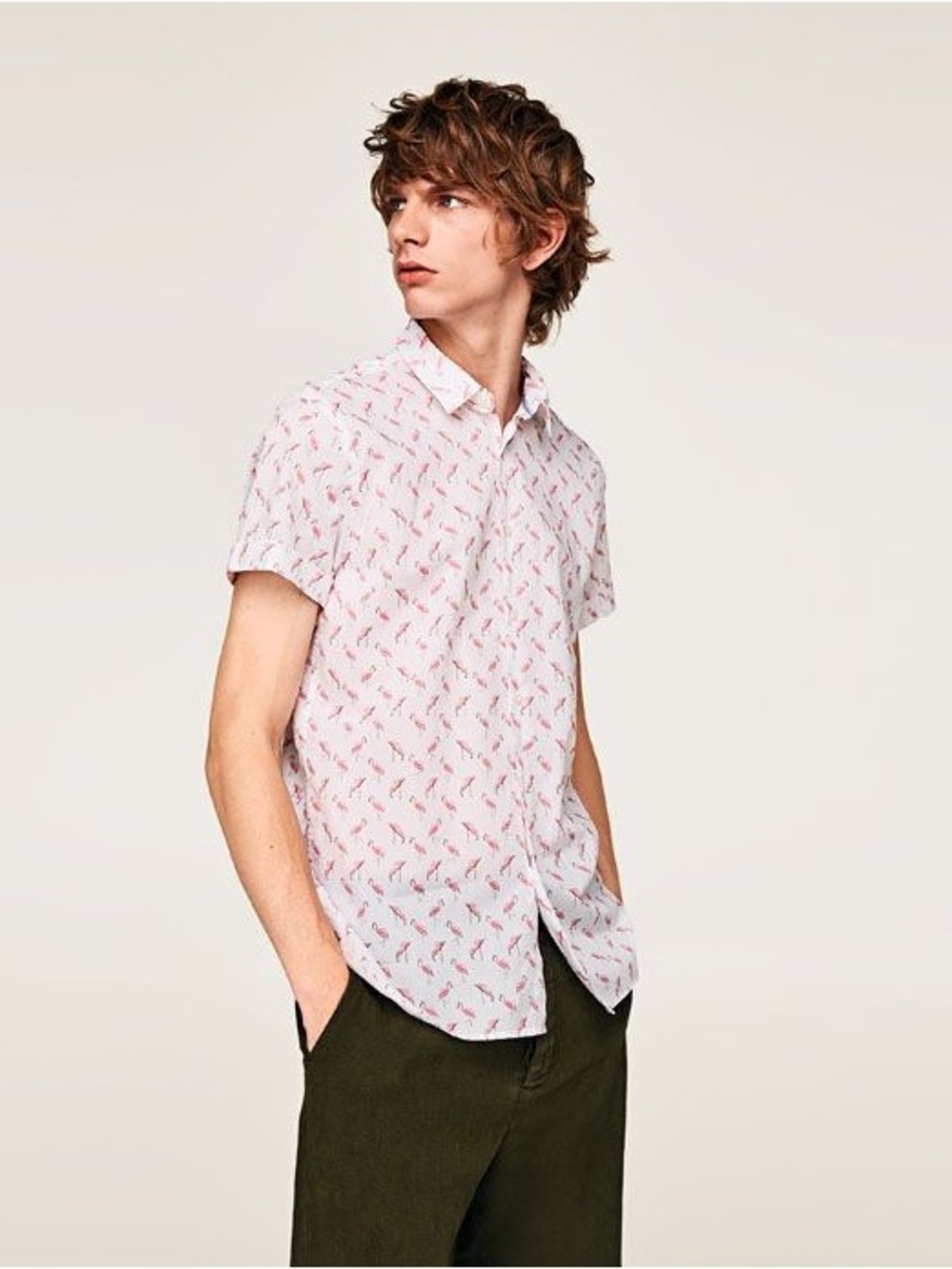 Zara White Short-Sleeve Button-Down with flamingo Print